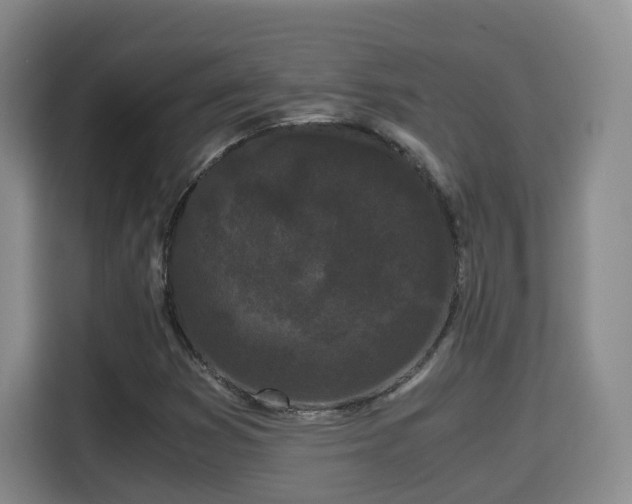 X0000115701353200911191221