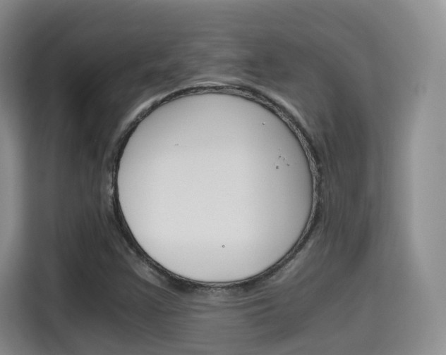 X0000115701355200911191221