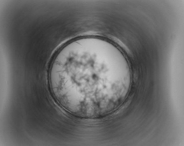 X0000115701356200911191221