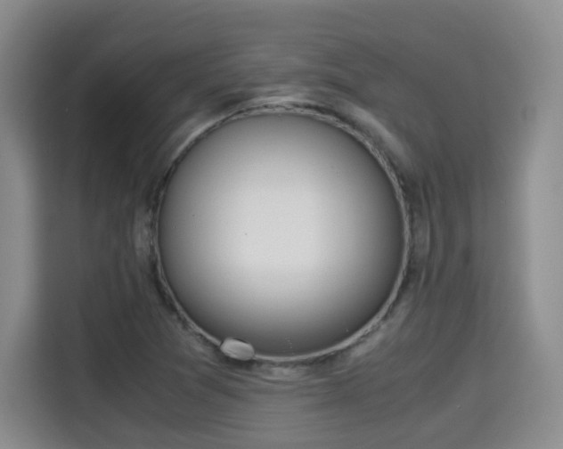 X0000115701361200911191221