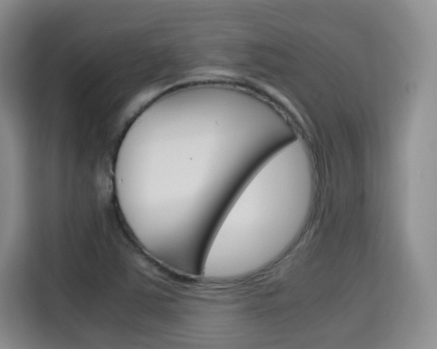 X0000115701363200911191221