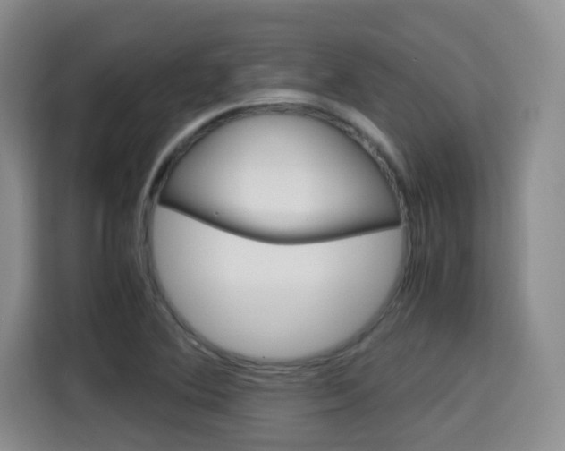 X0000115701364200911191221