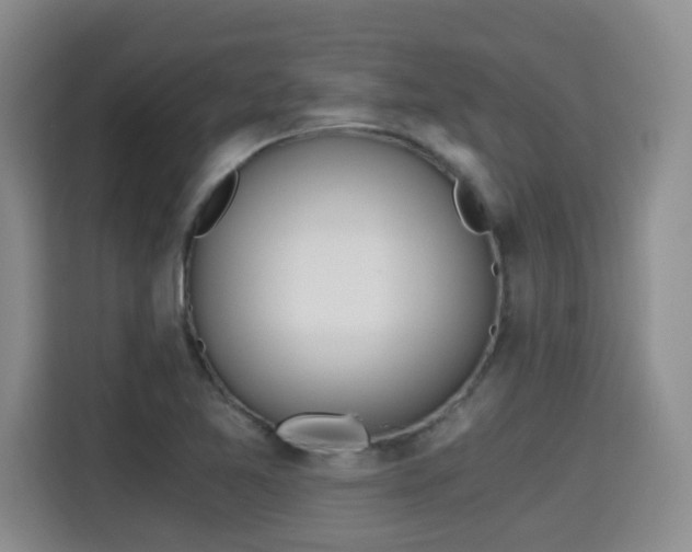 X0000115701365200911191221