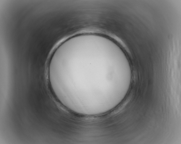 X0000115701366200911191221