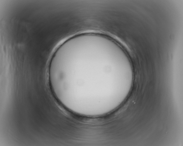 X0000115701367200911191221