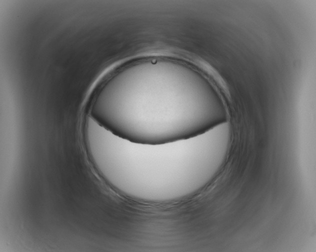 X0000115701368200911191221