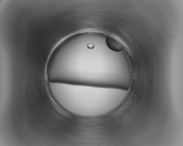 X0000115701372200911191221