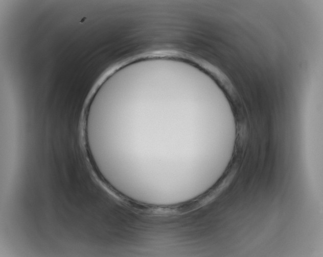 X0000115701374200911191221