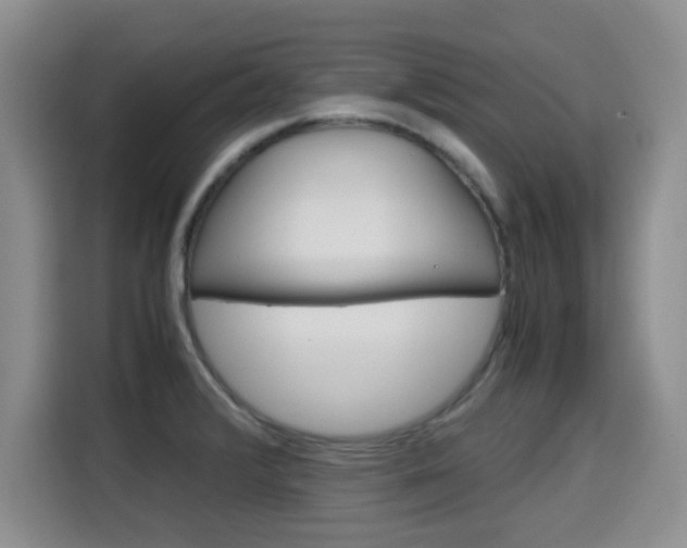 X0000115701376200911191221