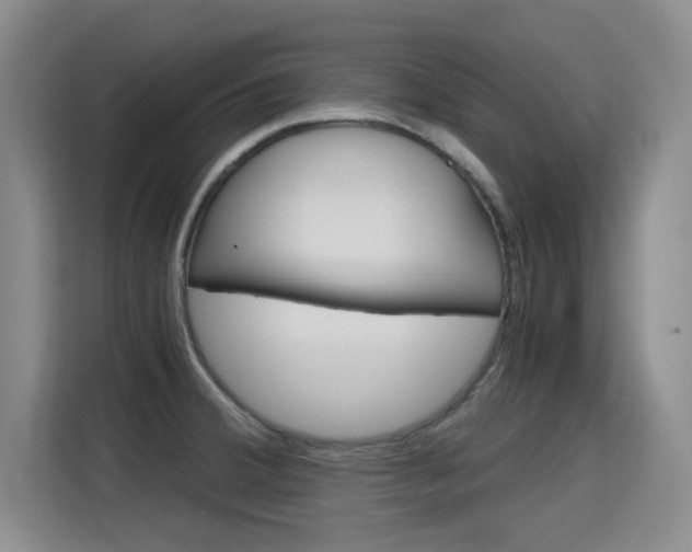 X0000115701380200911191221