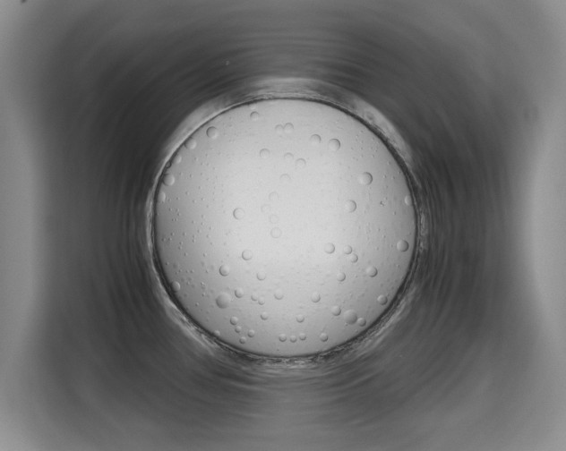 X0000115701386200911191221