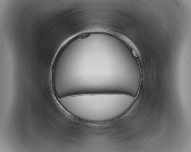 X0000115701388200911191221