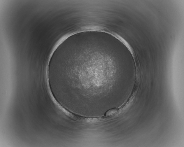 X0000115701389200911191221