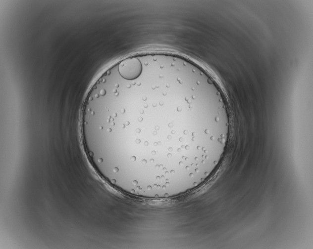 X0000115701390200911191221