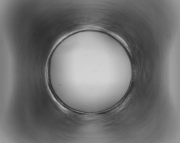 X0000115701391200911191221