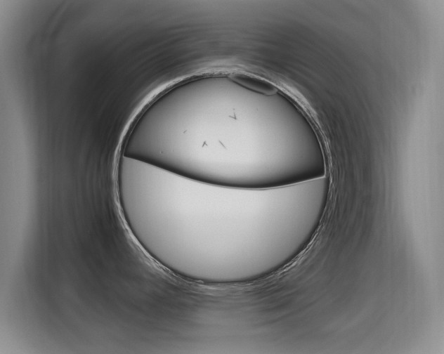 X0000115701392200911191221