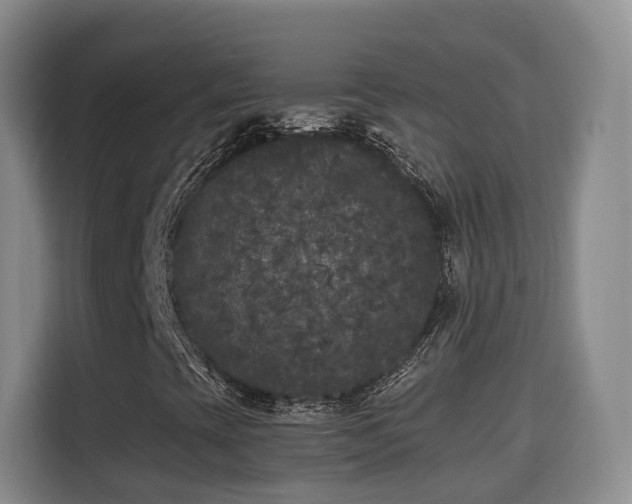 X0000115701393200911191220