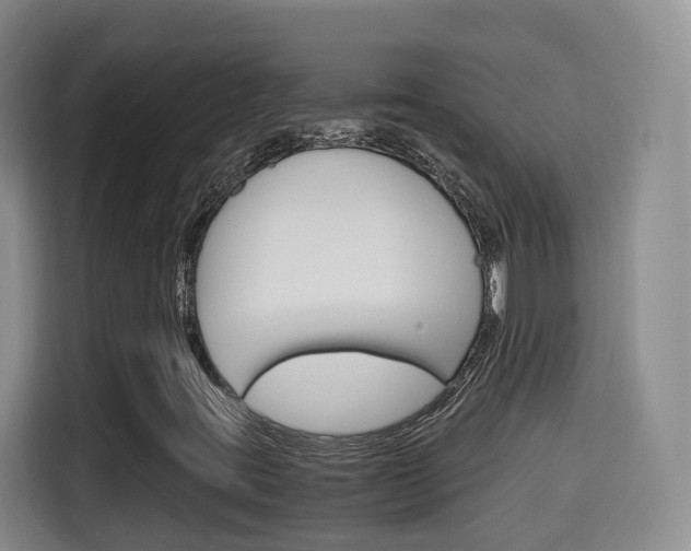 X0000115701395200911191220