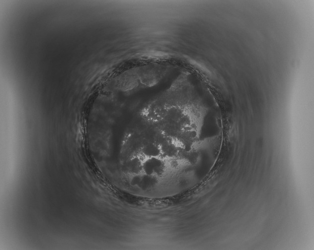 X0000115701397200911191220