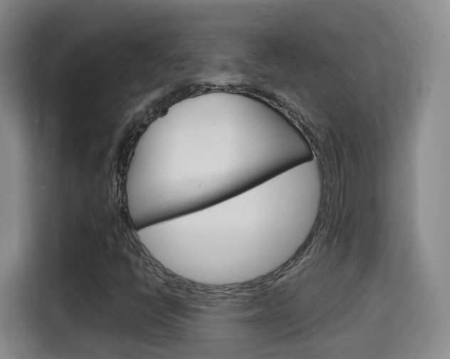 X0000115701398200911191220