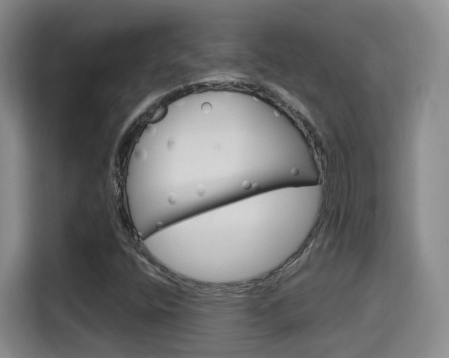 X0000115701400200911191220