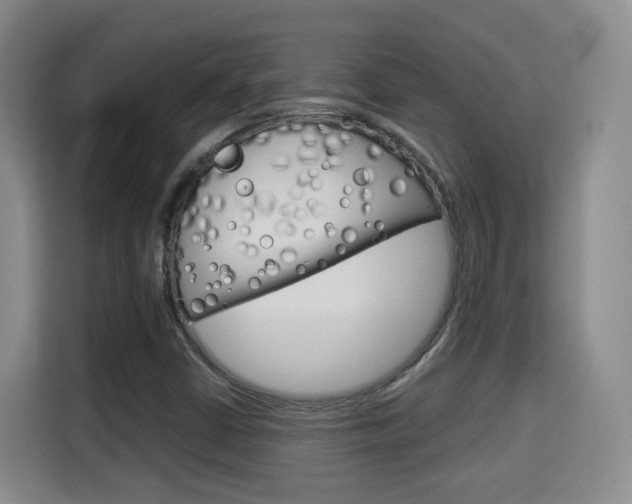 X0000115701402200911191220