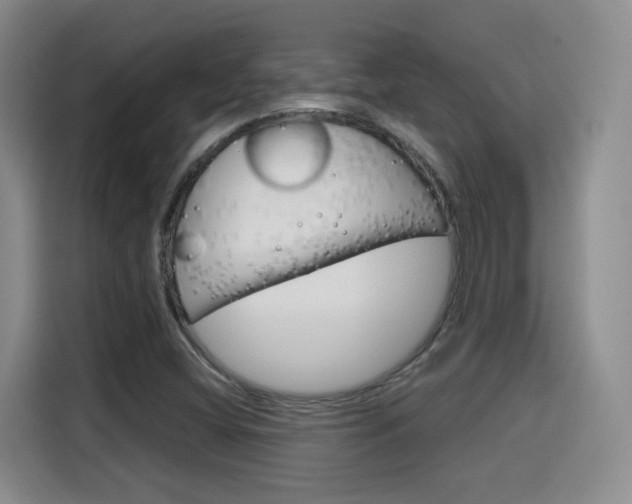 X0000115701404200911191220