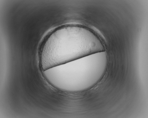 X0000115701408200911191220