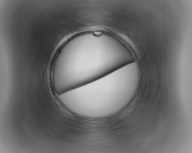 X0000115701412200911191220