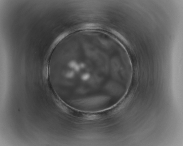 X0000115701413200911191220