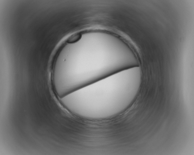 X0000115701416200911191220