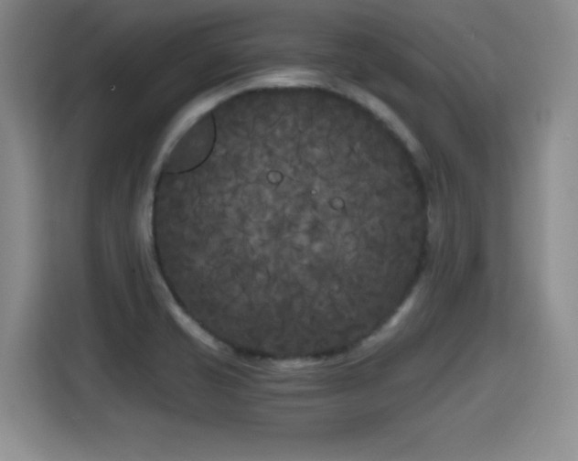 X0000115701421200911191220