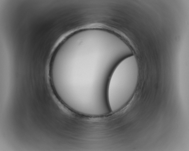 X0000115701422200911191220