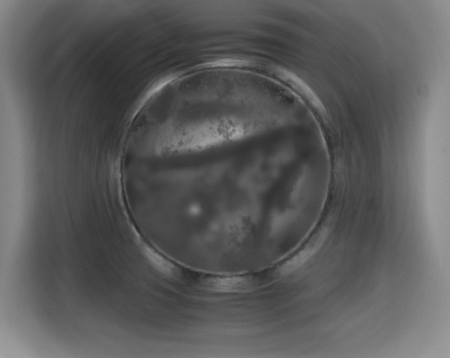 X0000115701425200911191220