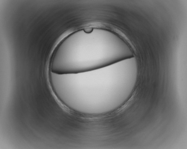 X0000115701426200911191220