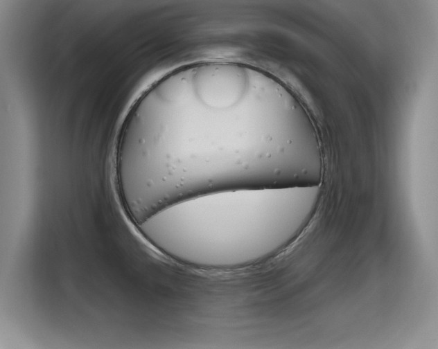 X0000115701432200911191220