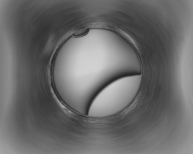 X0000115701434200911191220