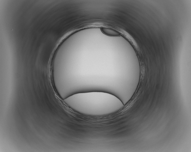 X0000115701435200911191220