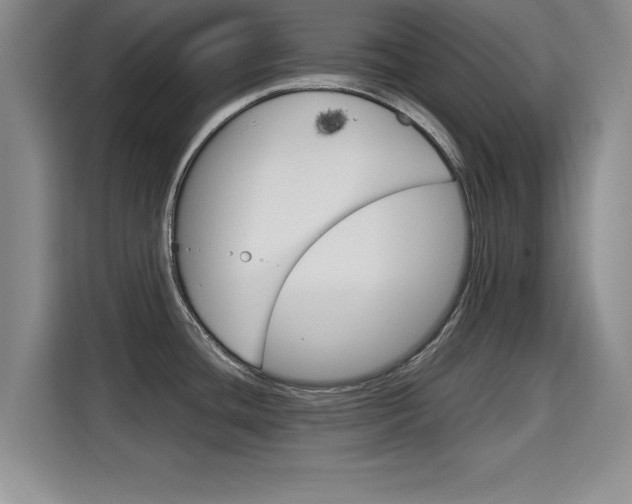 X0000115701436200911191220