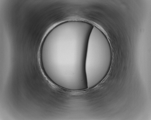 X0000115701440200911191221