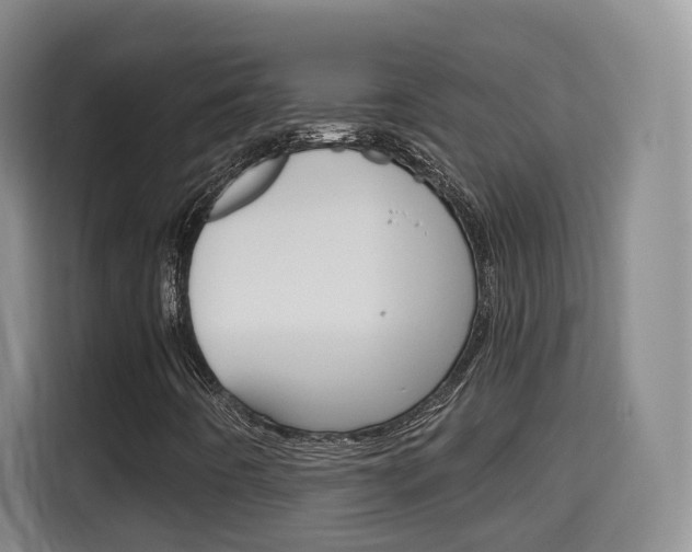 X0000115701442200911191220