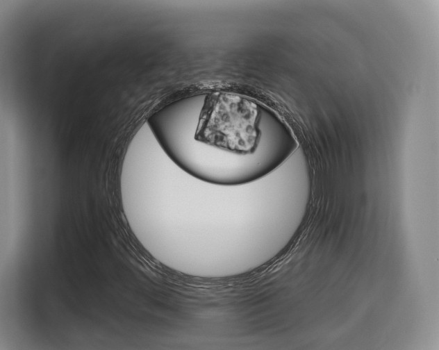 X0000115701444200911191220