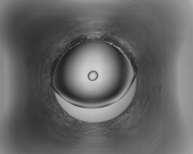 X0000115701445200911191220