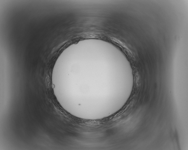 X0000115701446200911191220