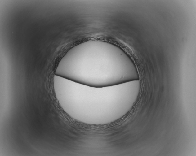 X0000115701447200911191220