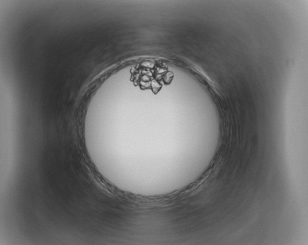 X0000115701448200911191220