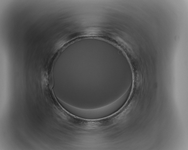 X0000115701449200911191220