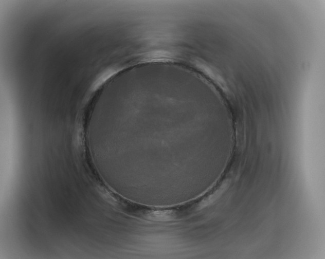 X0000115701453200911191220