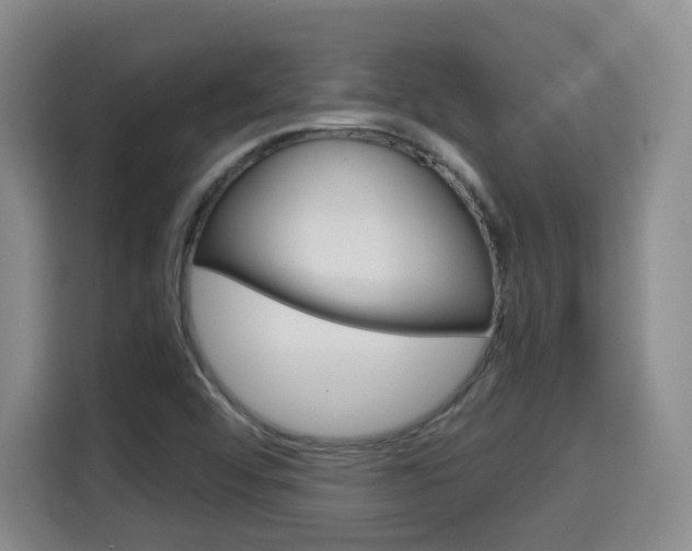 X0000115701456200911191220