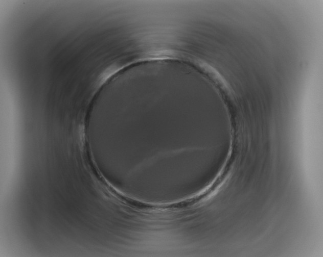 X0000115701457200911191220